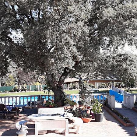Lovely Home, Cozy Corner In El Bosque, Madrid. Вильявисьоса-де-Одон Экстерьер фото